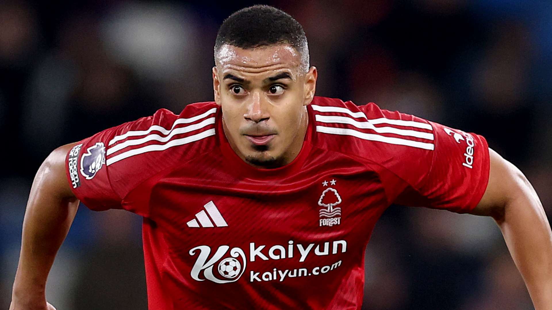 将显著影响 将显著影响