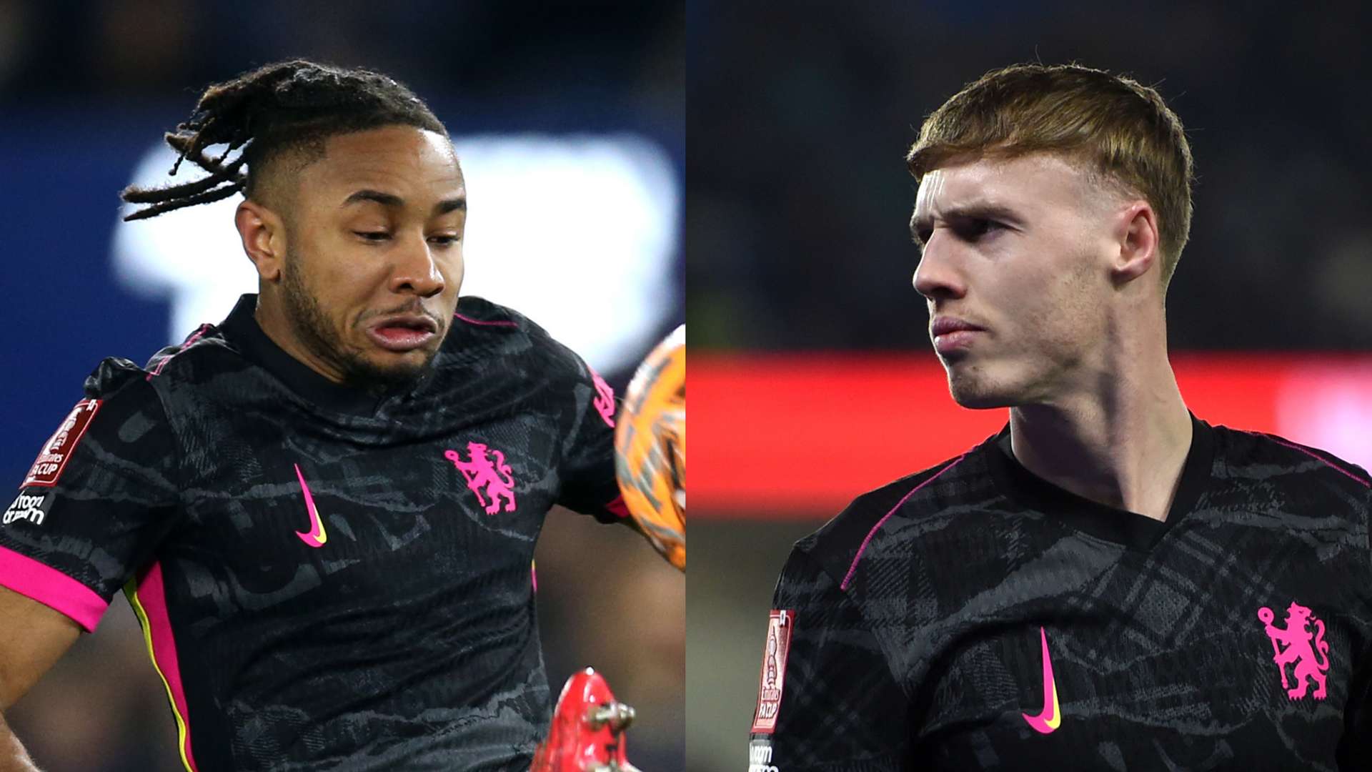 他们不仅能 他们不仅能